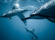 大众娱乐彩票网页版：让快乐更直达，让安全更有底气